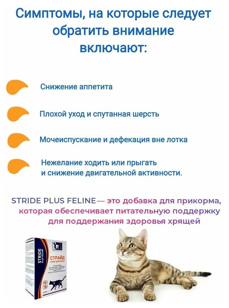 TRM Страйд Плюс комплексный препарат для кошек, 160 мл - фото №5