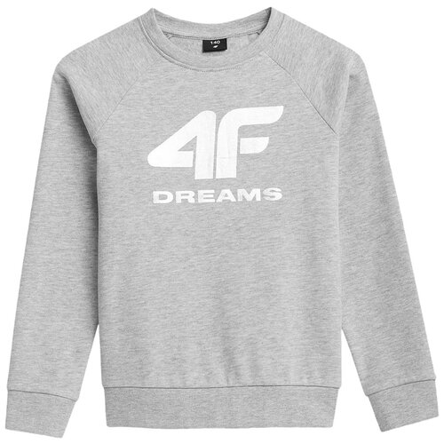 Джемпер/4F/HJZ21-JBLD007A-27M/GIRL'S SWEATSHIRTS/серый/158