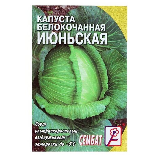 Семена Капуста Сембат, белокачанная, Июньская, 1 г семена капуста сембат белокачанная июньская 1 г 6 упак