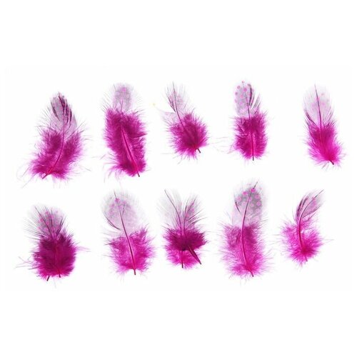 Набор перьев для декора 10 шт, размер 1 шт: 5 x 2 см, цвет розовый с чёрным