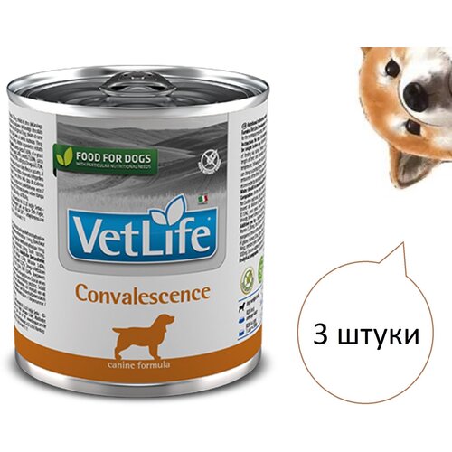 Влажный корм для собак в период выздоровления Farmina Vet Life Convalescence, 3 шт по 300 гр farmina vet life natural die hepatic консервы для собак при заболеваниях печени 300 г 300 гр x 3 шт