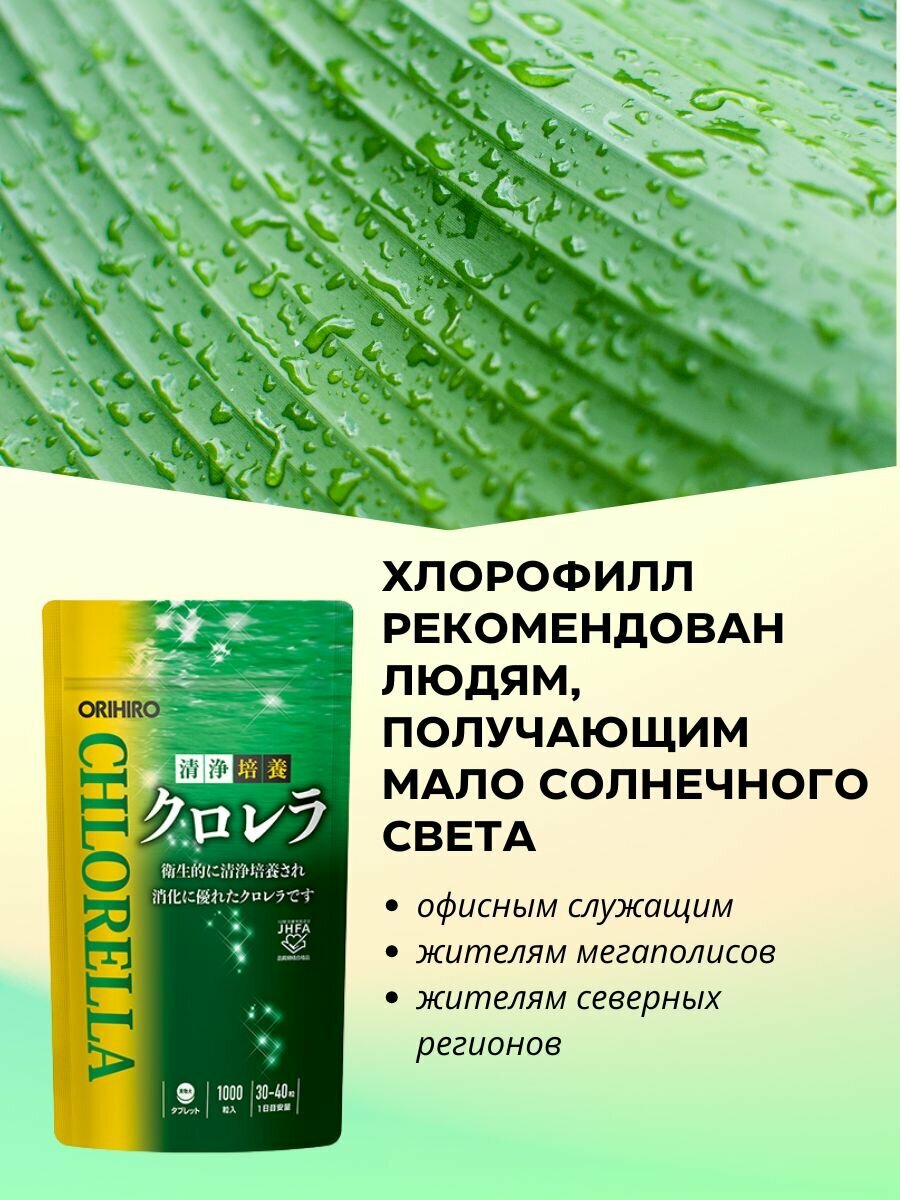 Изображение ORIHIRO Хлорелла орихиро 200 мг для укрепления иммунитета, 1000 шт