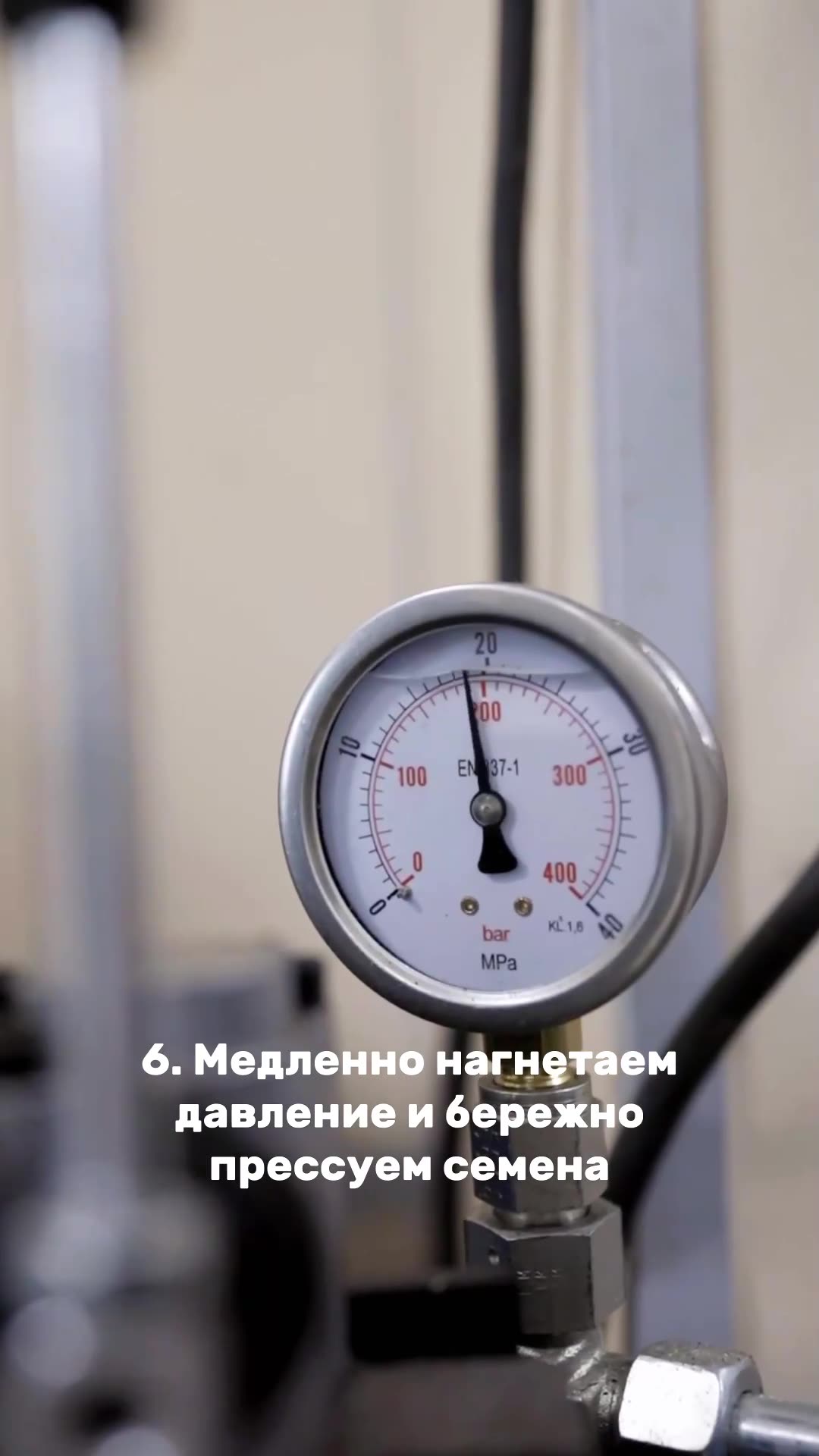 Масло черного тмина индийского холодного отжима, сыродавленное Грядка-Поле, 100 мл — фото 1
