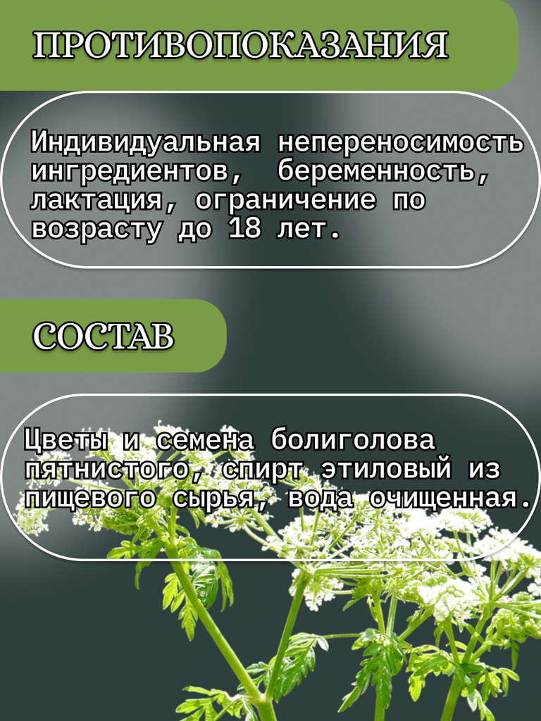 Обезболивающие Настойки И Экстракты Настойка болиголова "Благодея-Алтай" 100 мл, пластиковая бутылка