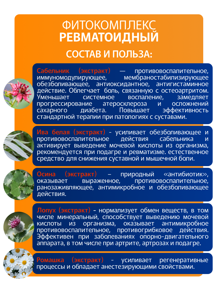 Изображение Ревматоидный фитокомплекс растворимых экстрактов трав в саше