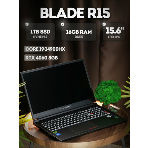 Игровой ноутбук Thunderobot R15 Intel Core i9-14900HX 24 ядра Nvidia RTX 4060 16 GB DDR5 1024 GB SSD RU раскладка 169000₽