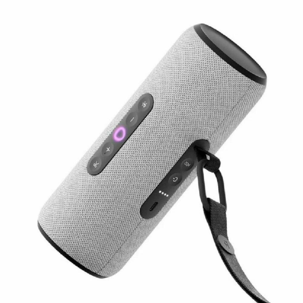 Портативная умная колонка Яндекс Станция Стрит 30Вт (YNDX-00030), Серый