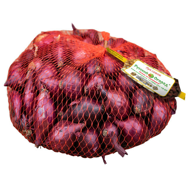 Лук-севок Кармен МС 14/22 05кг