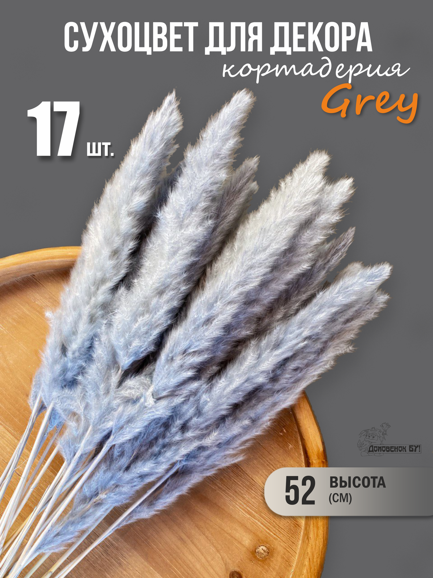 Сухоцветы для декора пампасная трава кортадерия