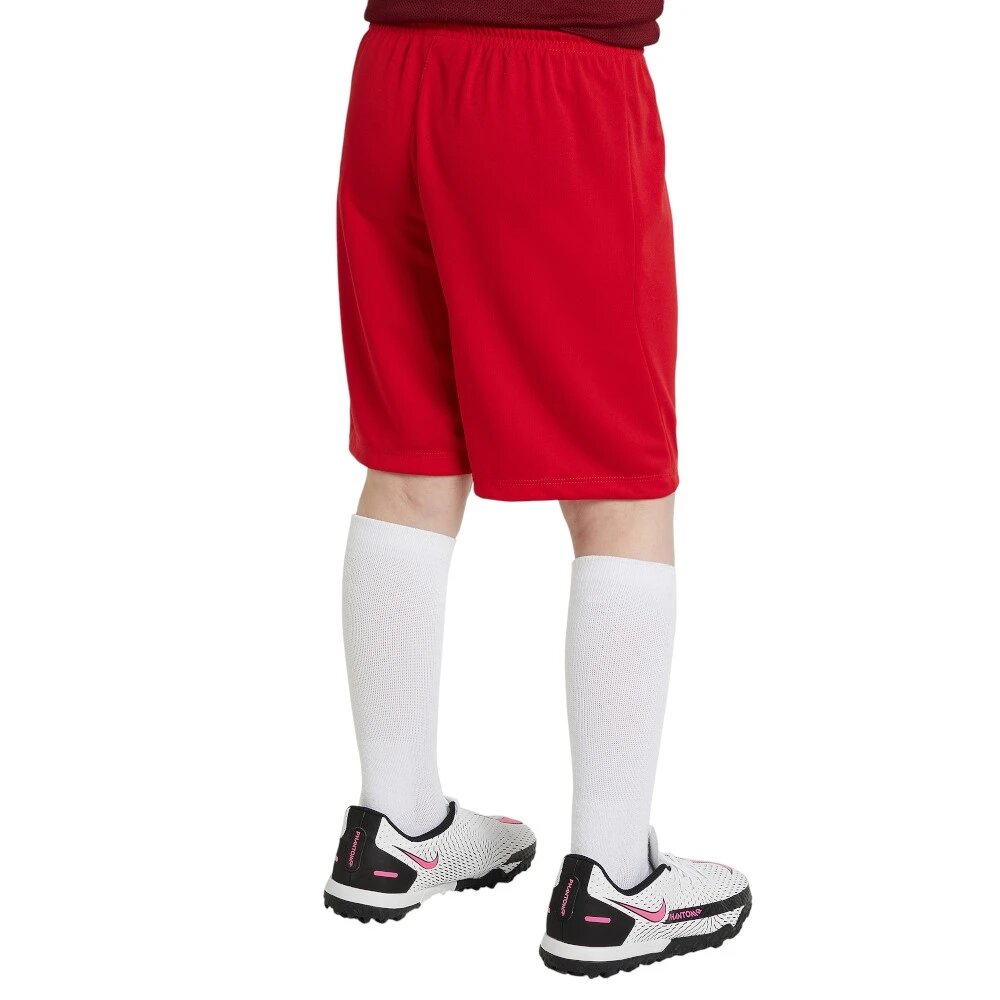 Шорты NIKE, размер L  INT, красный — фото 1