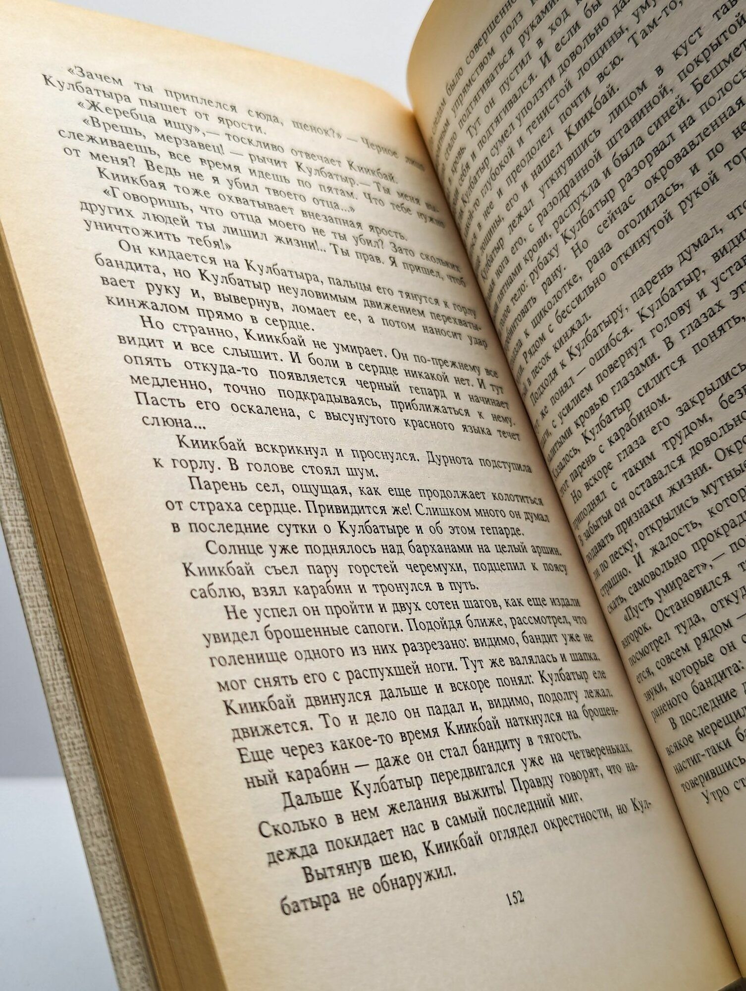 Одинокий всадник — фото 1