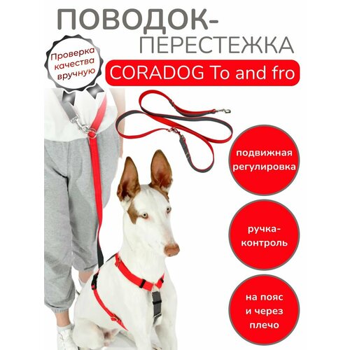 Поводок-перестежка с ручкой контролем и подвижным кольцом, hands free - свободные руки, CORADOG To and fro, длина 2,5 м, для малых, средних и крупных пород собак цвет красный, серый