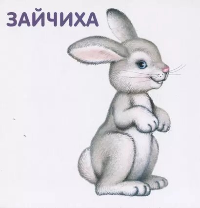 Книжки-картонки. Животные и детеныши — фото 1