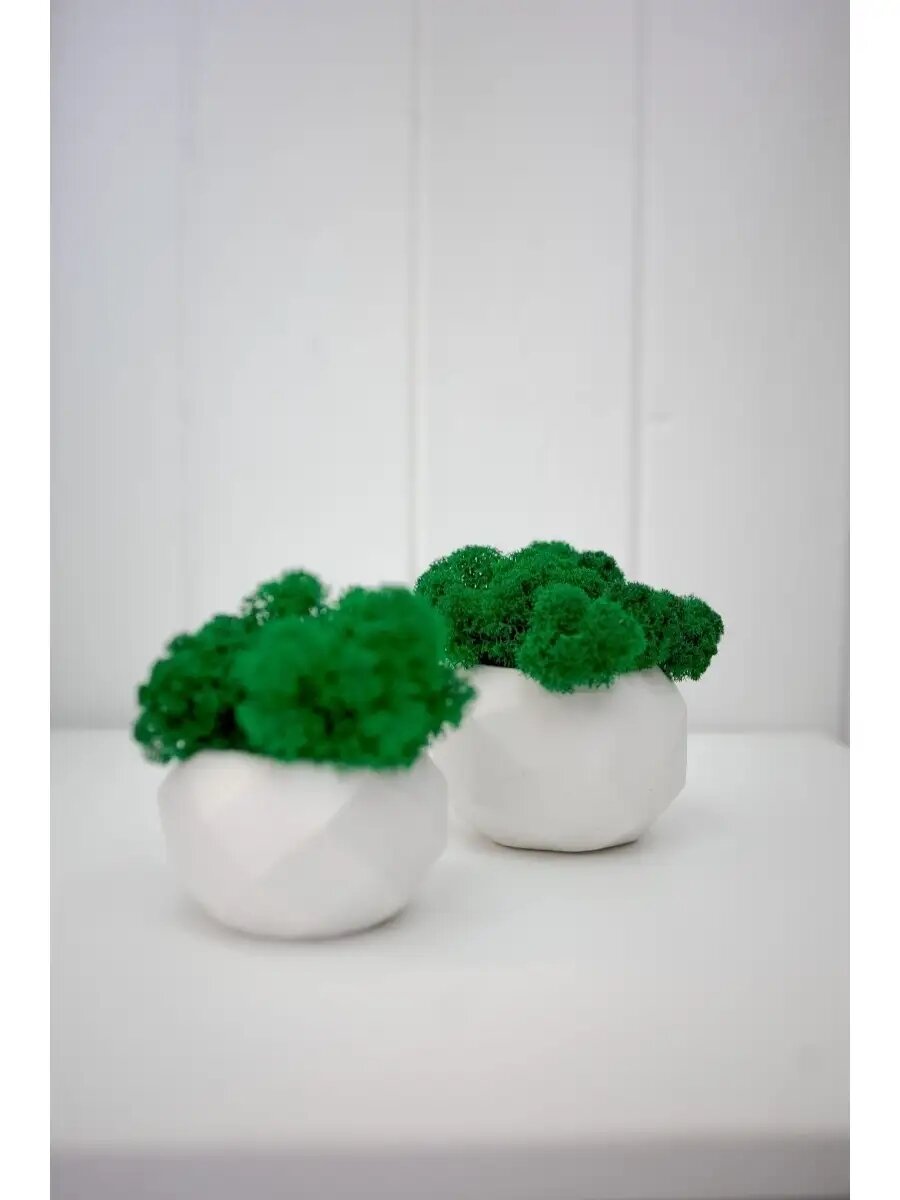 Набор кашпо StabFlora, гипс, для декора, с мхом, цвет зеленое яблоко, 2 шт. — фото 1
