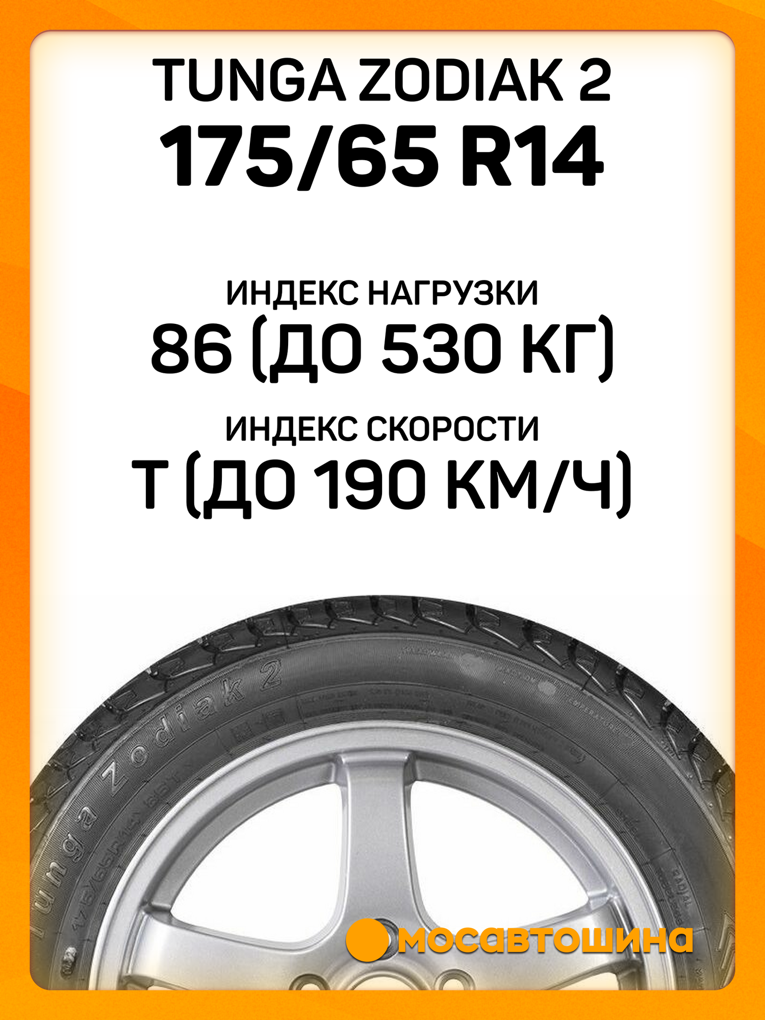 Tunga Zodiak 2 летняя — фото 1