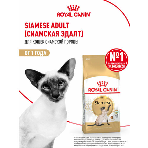 Корм для кошек Royal Canin Siamese Adult (Сиамиз Эдалт) Корм сухой сбалансированный для взрослых сиамских кошек от 12 месяцев, 2 кг