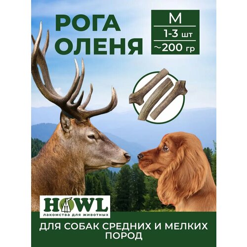Рога Северного оленя для средних и малых пород собак (размер M, 15-17 см.) 200 г. Натуральные лакомства для собак HOWL