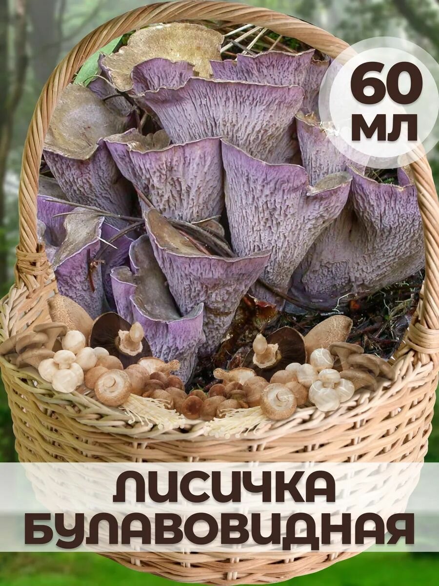 Мицелий гриба на торфе 