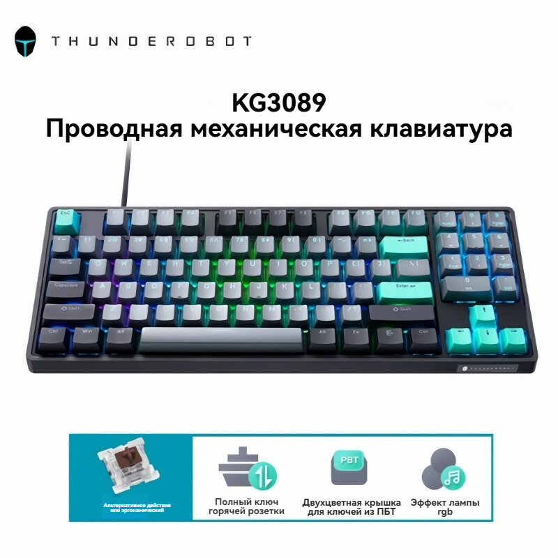 Игровая проводная клавиатура ThundeRobot KG3089 Beiming, черная, механическая, 89 клавиш, съемный кабель, Brown Switch