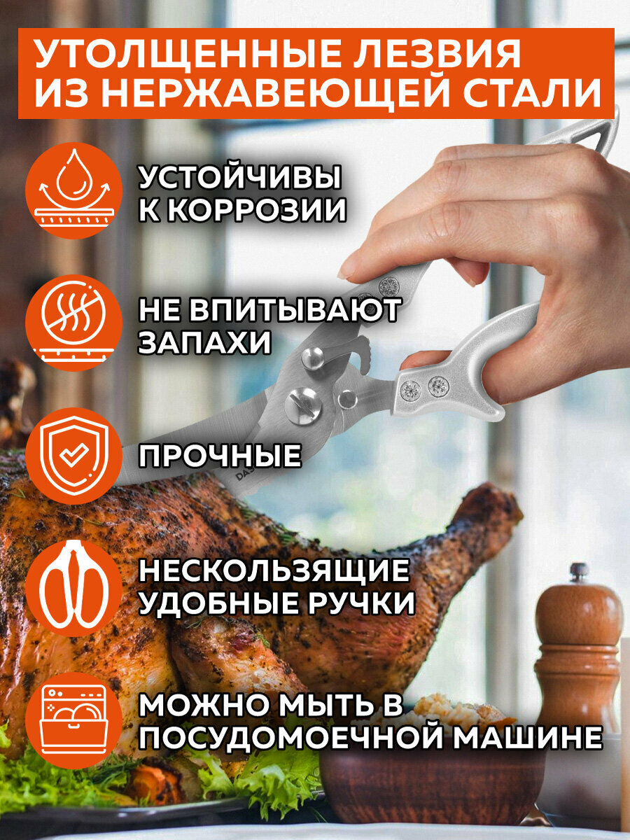 Картинки Ножницы-секатор кухонные Daswerk (Дасверк), 260 мм, фиксатор, зазубренные, металлические, 608902