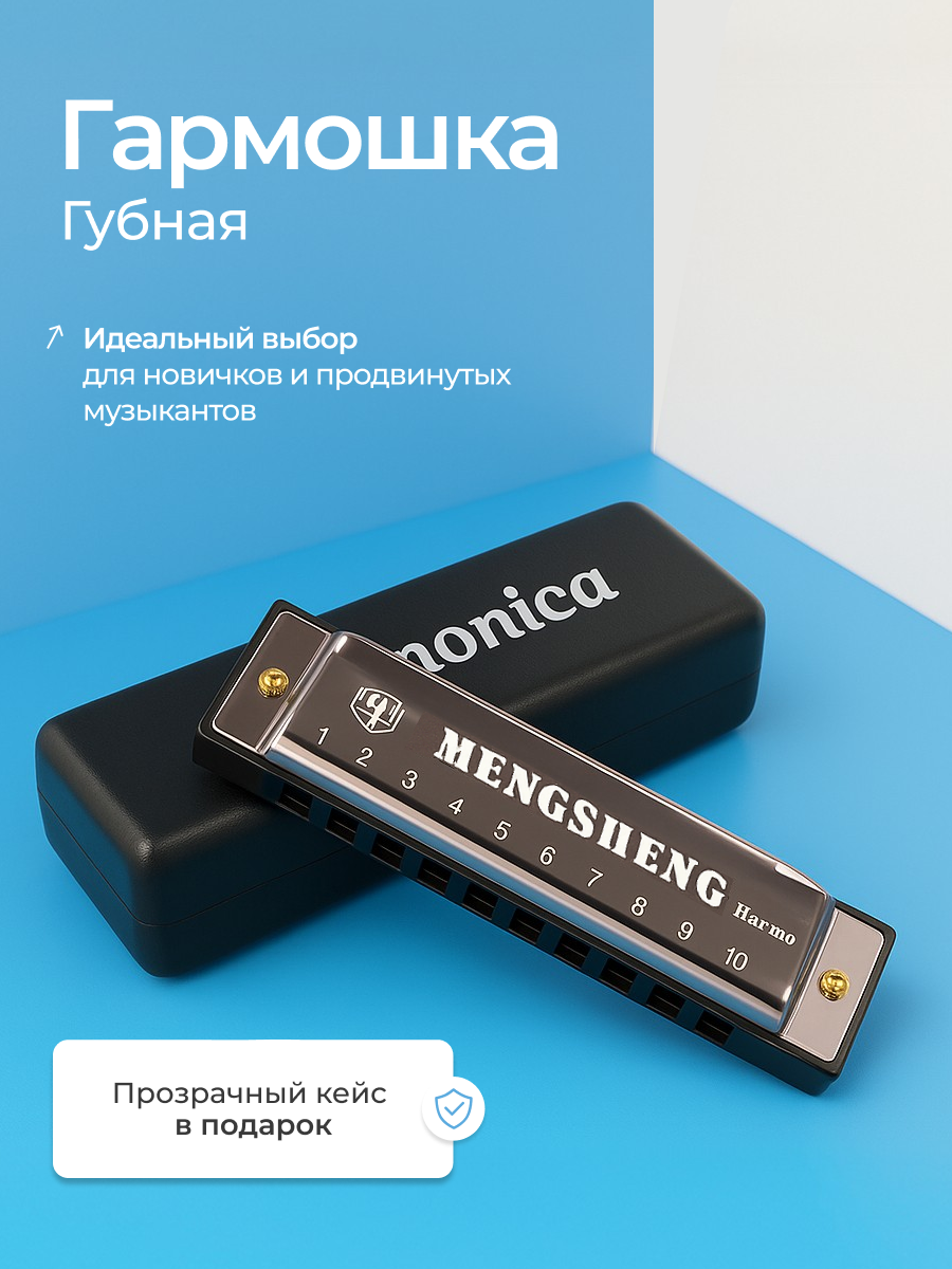 Губная гармошка DRAKON IRG с футляром, черная губная гармошка, 10 отверстий
