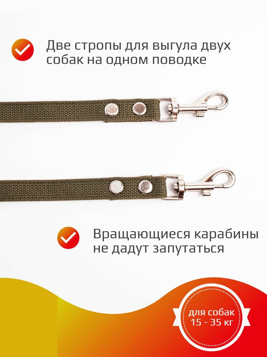 Сворка Хвостатыч для двух собак капрон 70 см х 20 мм с поводком 1,5 м (зеленый) — фото 1