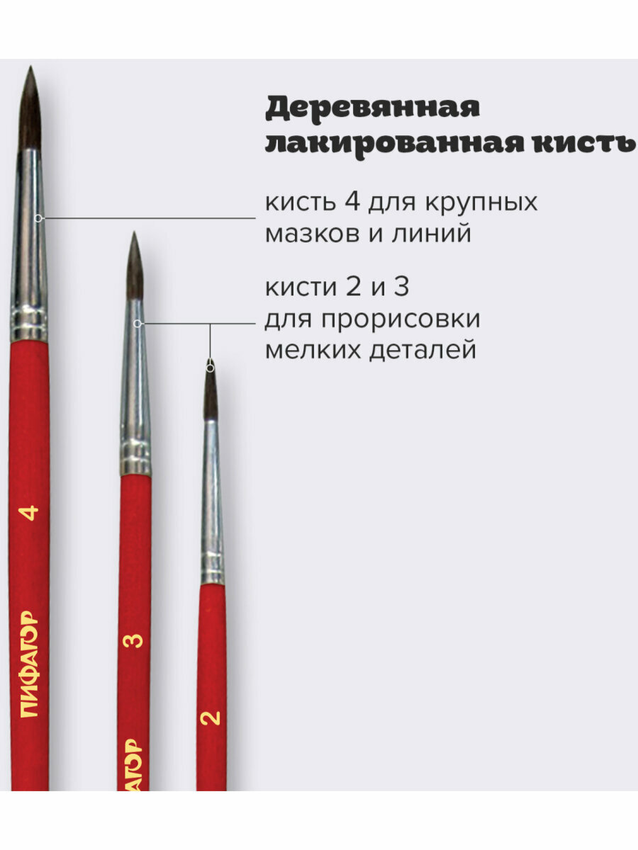 Кисти / кисточки для рисования Пифагор, набор из 3 штуки, (из ворса пони кругл. № 2,3,4), 200227 — фото 1