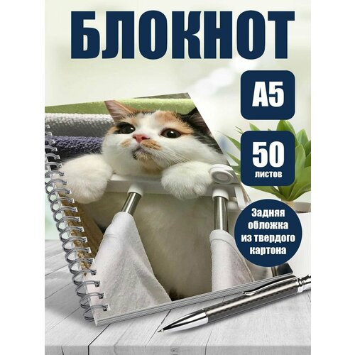 Тетрадь в клетку фотографии Милые кошечки