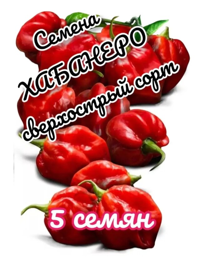 Хабанеро красный семена 5шт.