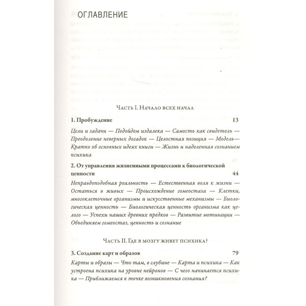 Я. Мозг и возникновение сознания - фото №6