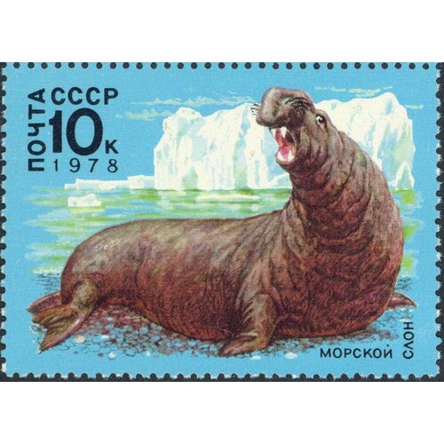 (1978-055) Марка СССР Морской слон Животный мир Антарктики III Θ