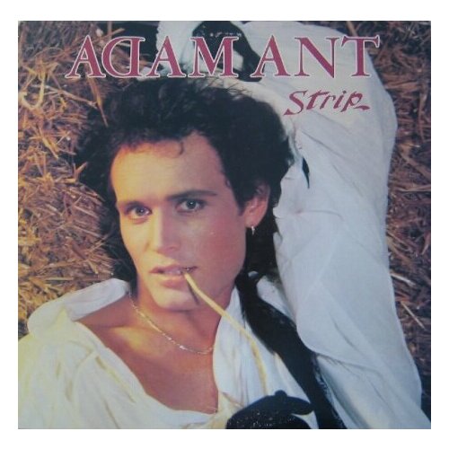 старый винил epic sly Старый винил, Epic, ADAM ANT - Strip (LP , Used)