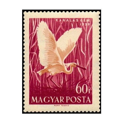 (1959-029) Марка Венгрия Обыкновенная колпица Водоплавающие птицы II Θ