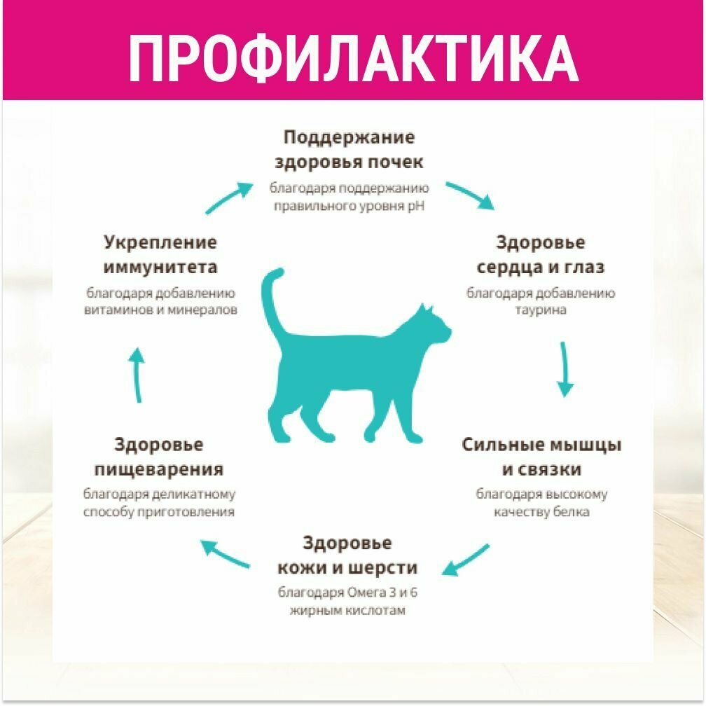 Сухой корм для домашних кошек Grandorf Indoor, Ягненок - индейка, 2 кг - фотография № 14