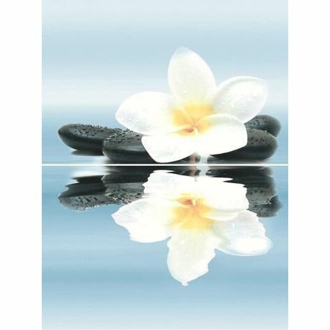 фото Панно Дельта Керамика Dream P2-2D185 30х40 компл. (10 шт.)