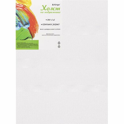 Alingar Холст на подрамнике30х40 см 349₽