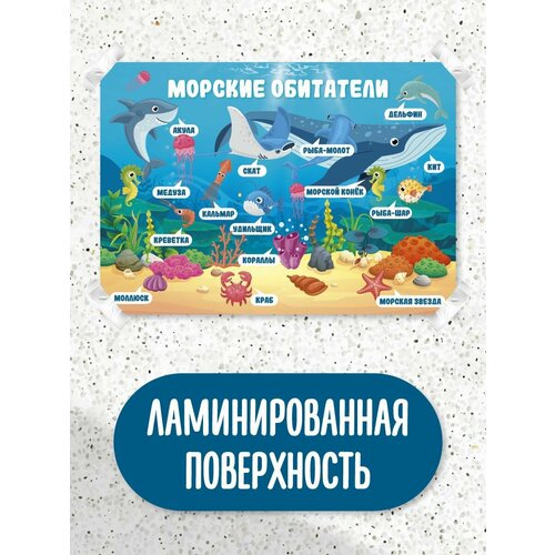 Обучающий плакат обучающий материал школьные плакаты домашние животные морские обитатели кто живет в лесу 305₽