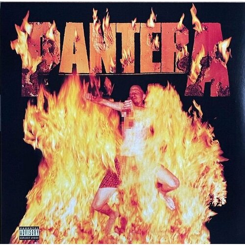 Pantera Виниловая пластинка Pantera Reinventing The Steel pantera pantera reinventing the steel 180 gr