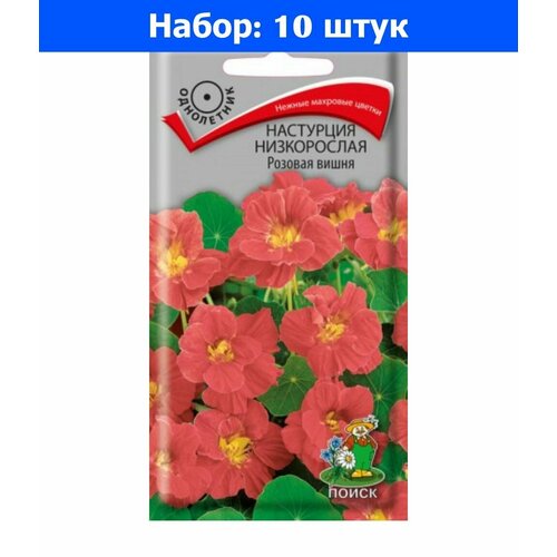 Настурция Розовая Вишня низкорослая 1г Одн 30см (Поиск) - 10 пачек семян
