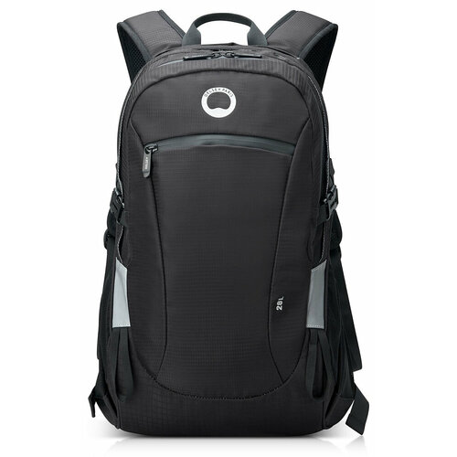 Рюкзак для ноутбука DELSEY 00333561100