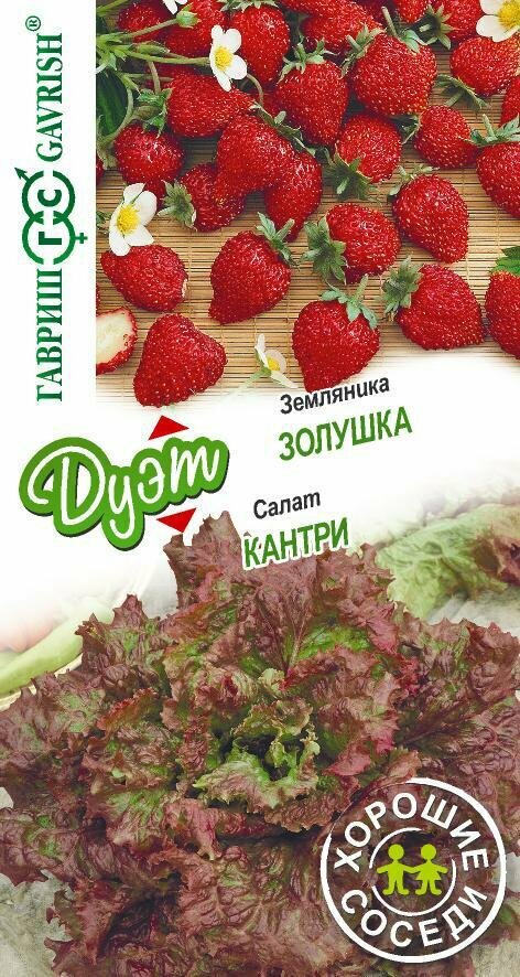 Салат Кантри + Земляника Золушка (семена 05 гр.) Гавриш