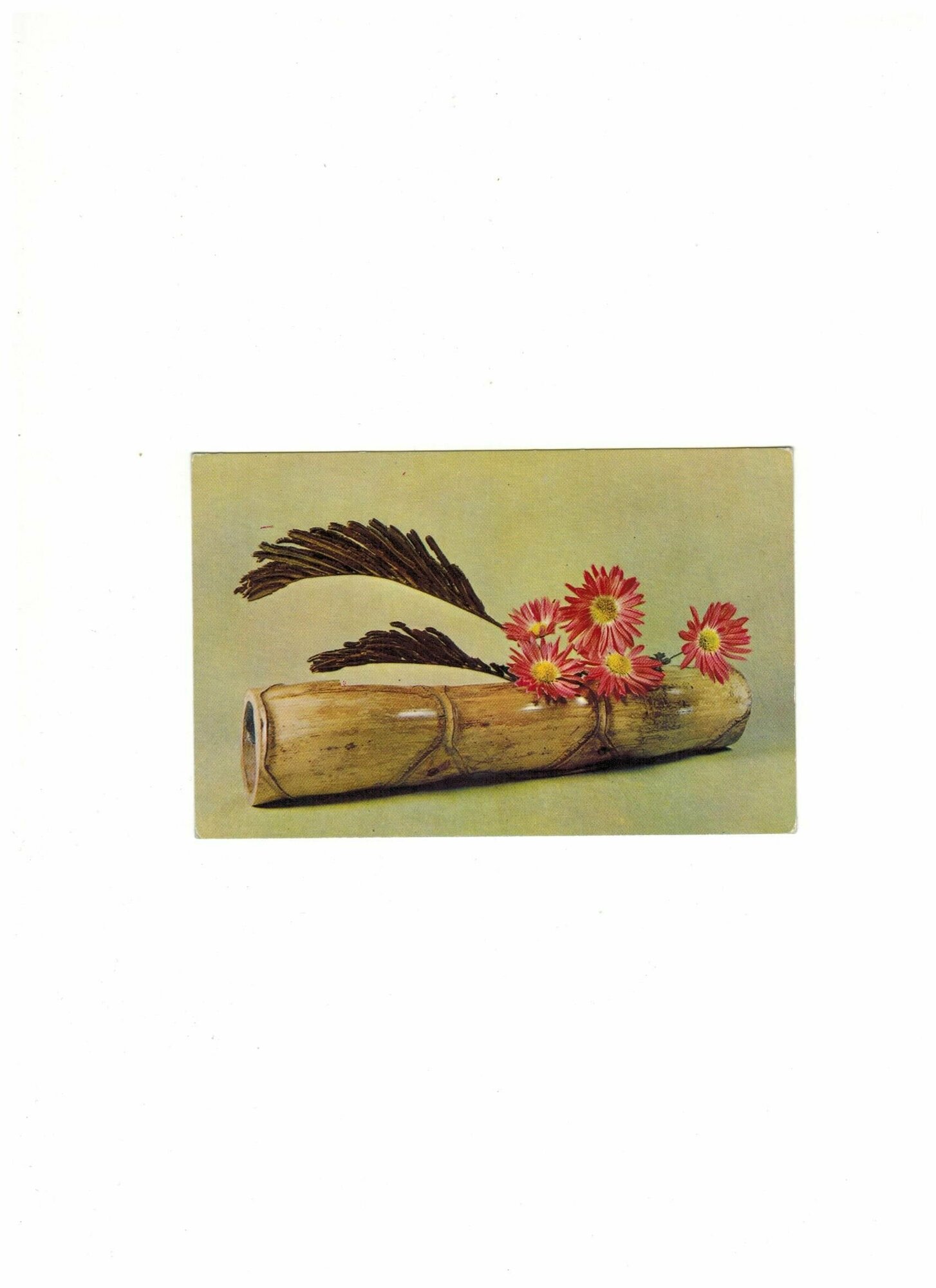 Почтовая открытка СССР "Композиция из цветов" Игнатович 1969 год