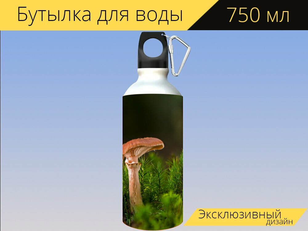 Бутылка фляга для воды "Гриб, маленький гриб, мох" 750 мл. с карабином и принтом