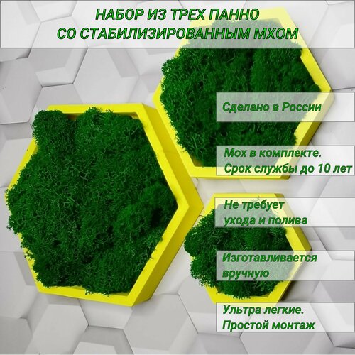 Панно - кашпо на стену со стабилизированным мхом , соты 10, 15, 20 см, ярко желтые