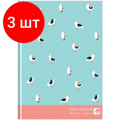 Комплект 3 шт, Скетчбук 100л, А5 7БЦ BG Птицы, матовая ламинация, выб. лак, 100г/м2