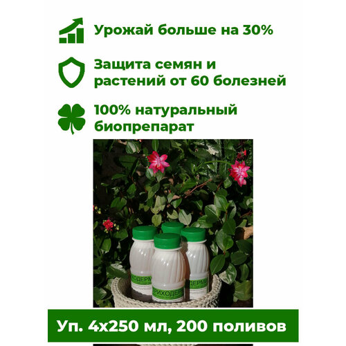 Триходермин жидкий 4х250 мл, концентрат объем 1 л удобрение для защиты растений