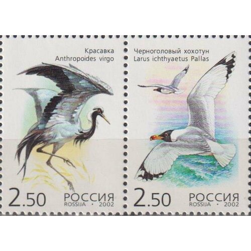 Почтовые марки Россия 2002г. Редкие птицы Птицы MNH