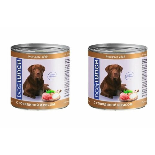 Dog Lunch Консервы для собак Экспресс обед с Говядиной и рисом, 750 г, 2 штуки