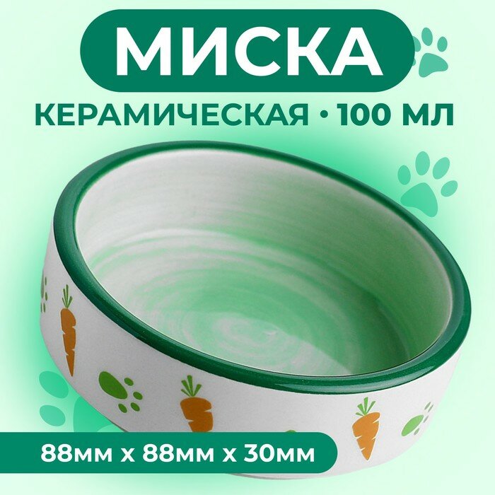 Миска керамическая для грызунов двухцветная с морковками, 100 мл, 8,8х8,8х3 см, зелёно-белая 3933106