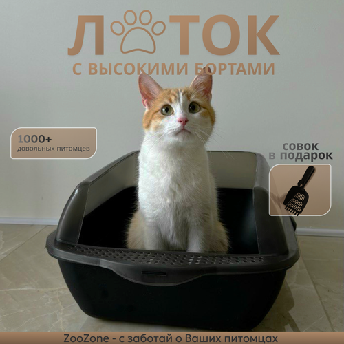 Лоток для кошек большой с высокими бортами черный